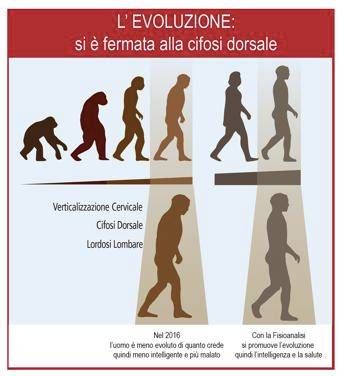 Fisioanalisi, dalla giusta postura l’evoluzione umana Fisioanalisi, dalla giusta postura l’evoluzione umana